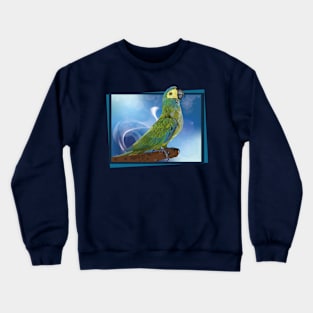 red-bellied macaw Crewneck Sweatshirt